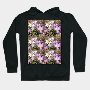 Assorted Crocuses Hoodie